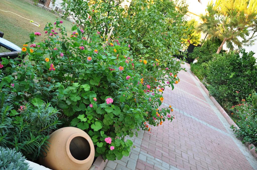 Mursel Garden Hotel Kusadasi Exterior photo